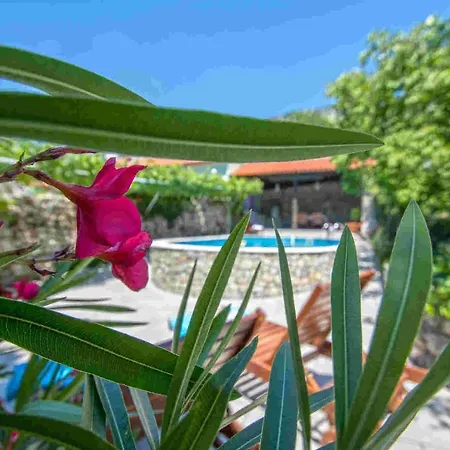 In Kostelj 39300 Сasa de vacaciones *